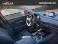 Mazda CX-30 Selection 2WD 2.0 SKYACTIV-G M Hybrid*SITZHEIZUNG* Rojo - thumbnail 18