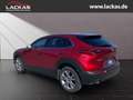 Mazda CX-30 Selection 2WD 2.0 SKYACTIV-G M Hybrid*SITZHEIZUNG* Rojo - thumbnail 3