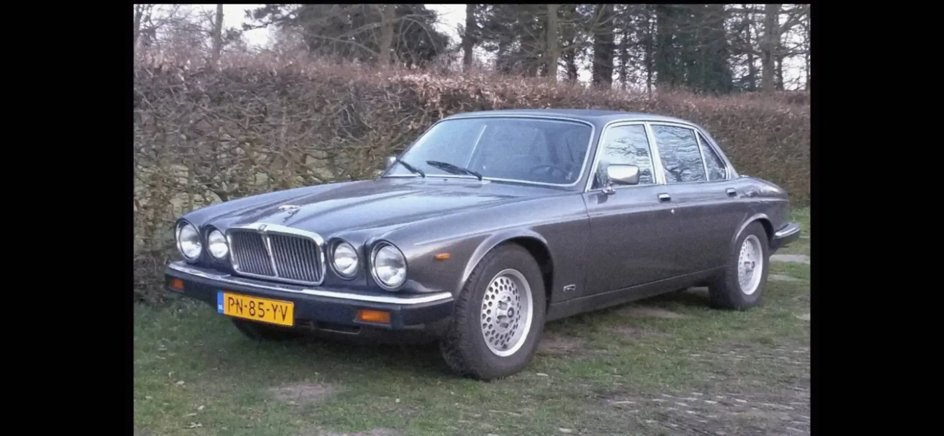 Jaguar Sovereign Sovereign 5.3 V12 - 1