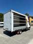 Ford Transit 2.0tdci 170cv CENTINATO + AVANCORPO Km 30.000 Bianco - thumbnail 3