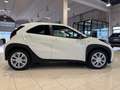 Toyota Aygo X 1.0 VVT-i 72 CV 5 porte Active ADAS PRONTA IN SEDE Wit - thumbnail 30