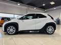 Toyota Aygo X 1.0 VVT-i 72 CV 5 porte Active ADAS PRONTA IN SEDE Wit - thumbnail 2