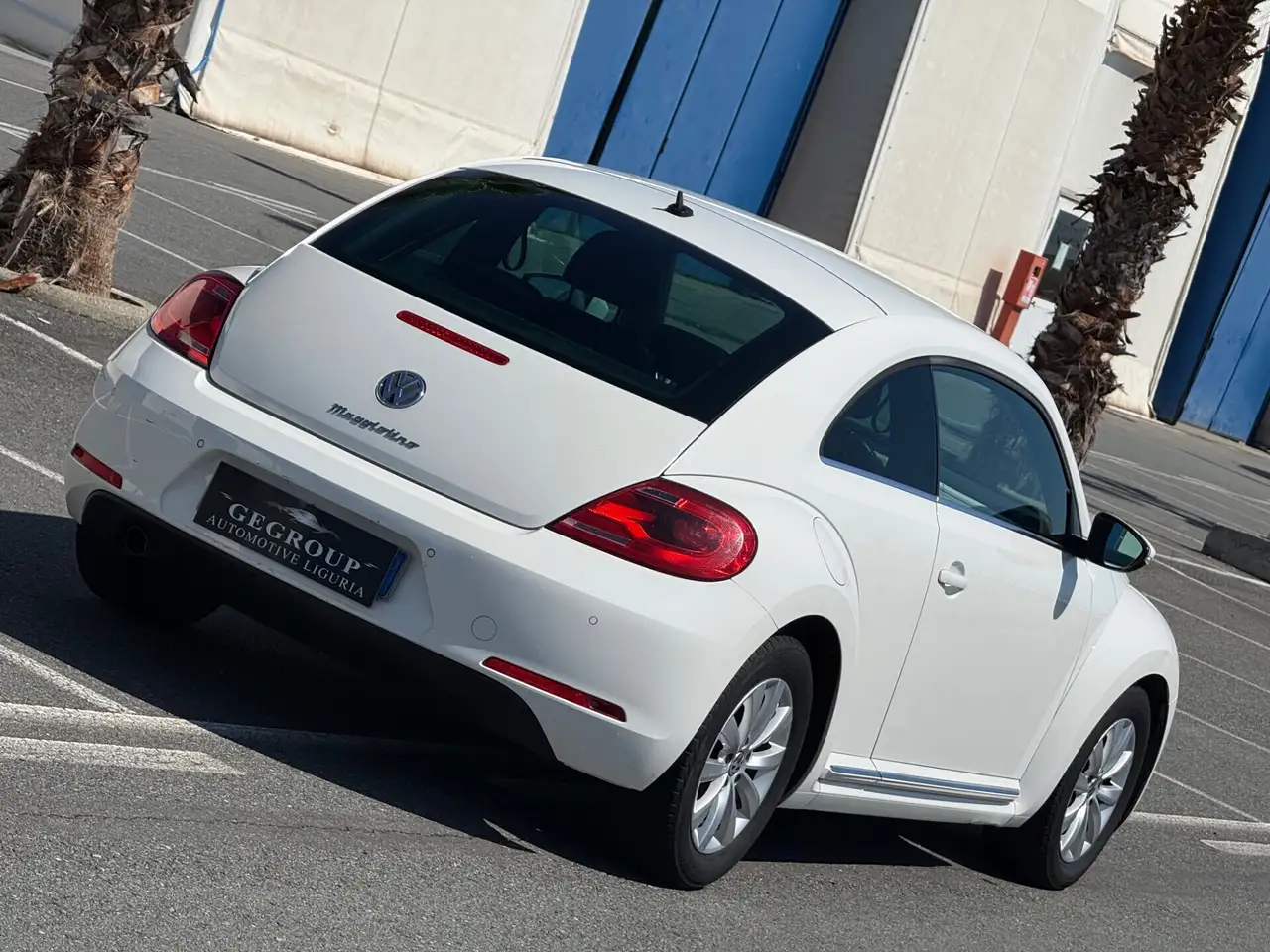 Volkswagen Maggiolino