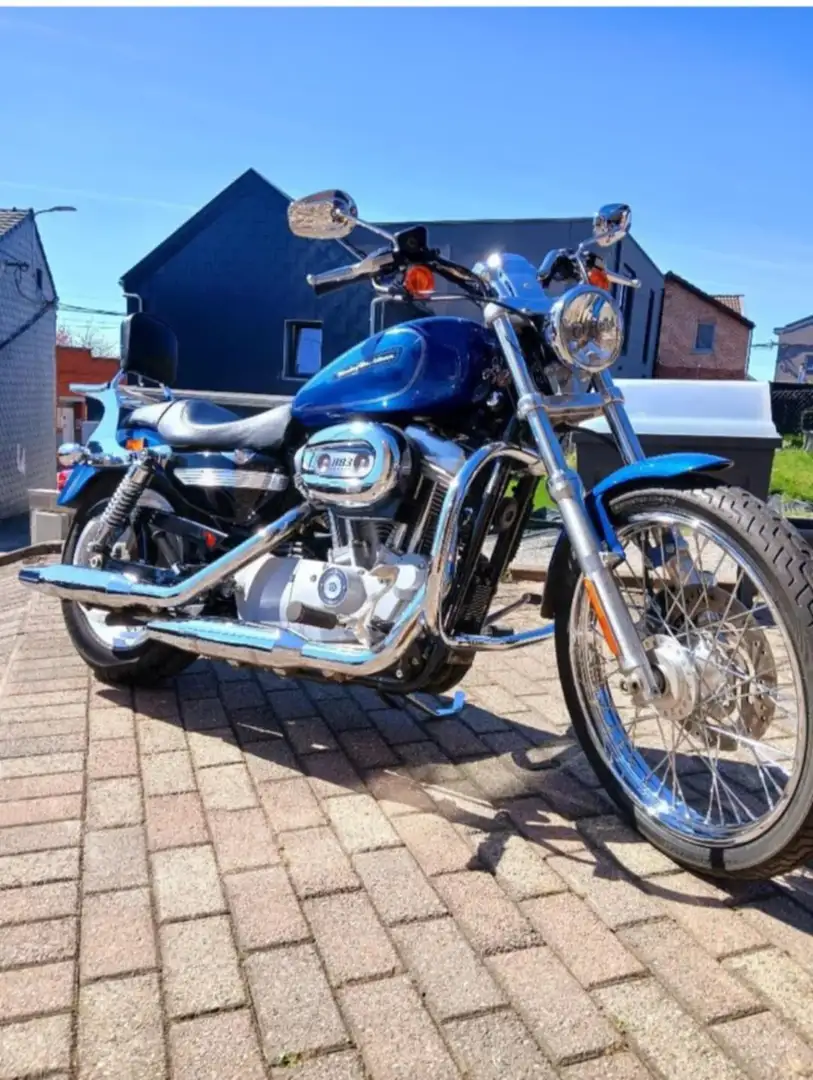 Harley-Davidson Sportster XL 883 Custom injection Blauw - 1