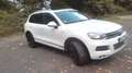Volkswagen Touareg Touareg 3.0 V6 TDI Automatik Exclusive White - thumbnail 2