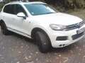Volkswagen Touareg Touareg 3.0 V6 TDI Automatik Exclusive White - thumbnail 1