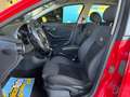 SEAT Ibiza 1.9TDi FR 130 Rojo - thumbnail 23