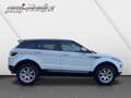 Land Rover Range Rover Evoque SD4 Aut Pure MIT GARANTIE Blanco - thumbnail 6