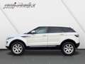 Land Rover Range Rover Evoque SD4 Aut Pure MIT GARANTIE Weiß - thumbnail 2