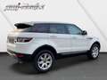 Land Rover Range Rover Evoque SD4 Aut Pure MIT GARANTIE Blanco - thumbnail 5