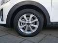 Kia Stonic 1.0 T-GDi MHEV DynamicLine | Cruise | Carplay | Ai Wit - thumbnail 17