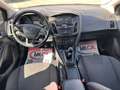 Ford Focus Focus 5p 1.5 tdci Titanium - thumbnail 13