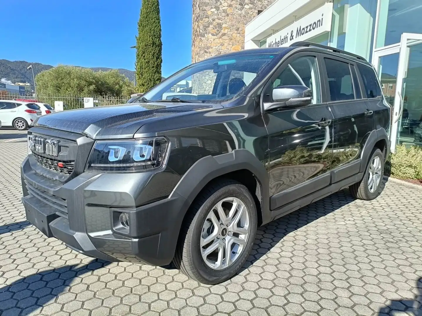 SWM G03F G03F 1.5 110cv mt Grigio - 2