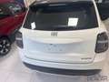 Fiat 600 600 Hybrid 110 CV DCT MHEV Pop Blanc - thumbnail 8