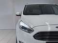 Ford Galaxy 2,0 EcoBlue SCR Titanium Aut.*MwSt.*1.BESITZ*7-... Weiß - thumbnail 7