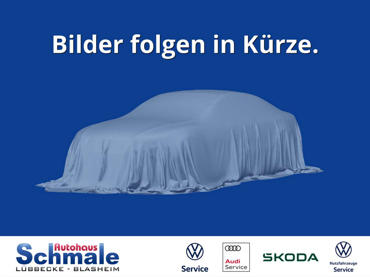 Skoda Kamiq 2022 — Clever 1.5 TSI DSG Climatronic Navigation CarPlay