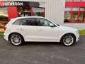Audi SQ5 SQ5 V6 3.0 BiTDI 313 Quattro Tiptronic 8 Weiß - thumbnail 3