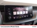 Skoda Scala 1.0 tsi ambition 110cv Bianco - thumbnail 12
