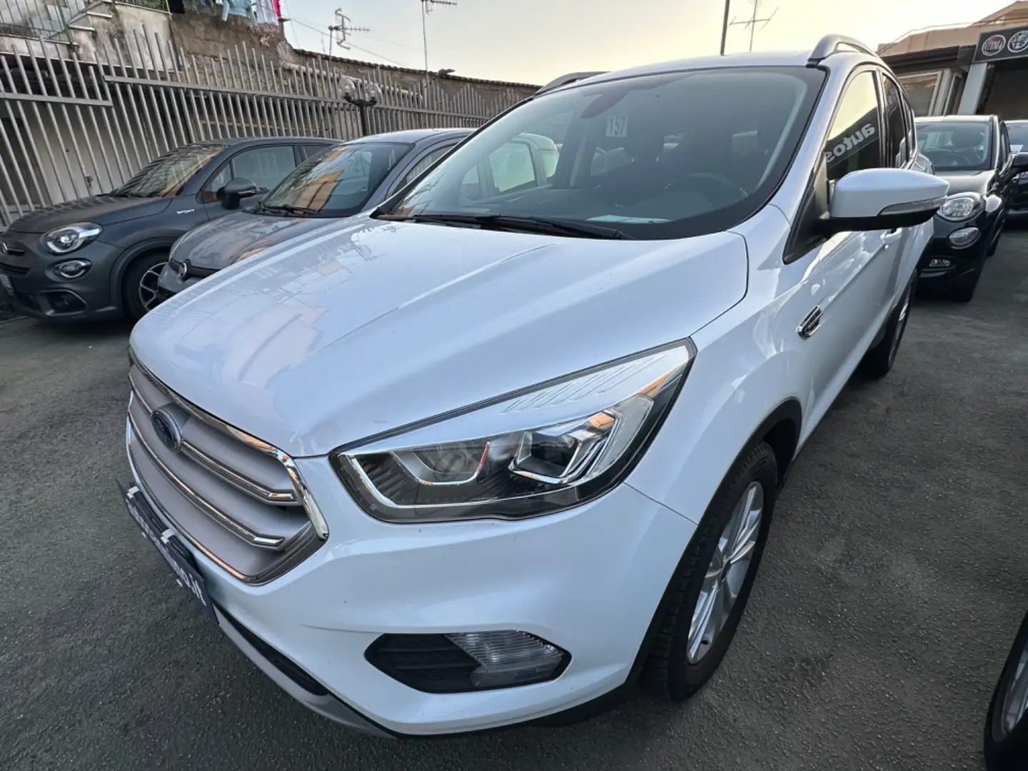 Ford Kuga Kuga 1.5 TDCI 120 CV S&S 2WD Powershift Titanium t Blanc - 2