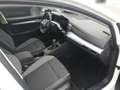Volkswagen Golf Variant VIII Variant 1.5 TSI GOAL *AHK *ACC *LED *RKAM *N Weiß - thumbnail 8