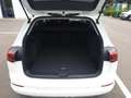 Volkswagen Golf Variant VIII Variant 1.5 TSI GOAL *AHK *ACC *LED *RKAM *N Weiß - thumbnail 15