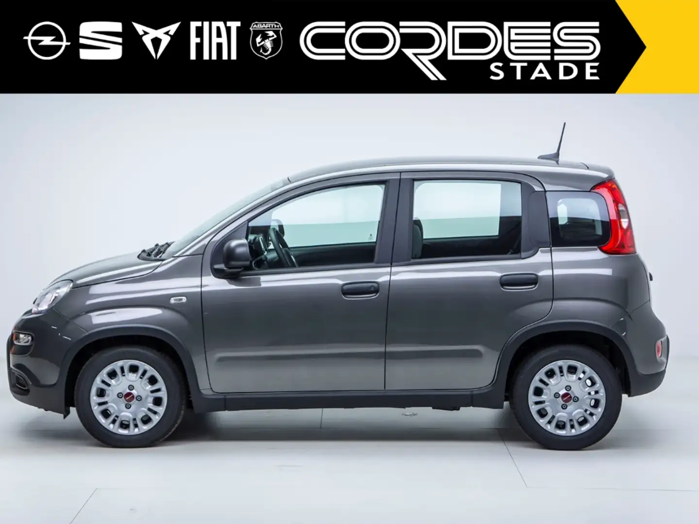 Fiat Panda Base 1.0 Mild Hybrid BT DAB Klima Grey - 2