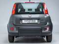 Fiat Panda Base 1.0 Mild Hybrid BT DAB Klima Gris - thumbnail 16