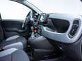 Fiat Panda Base 1.0 Mild Hybrid BT DAB Klima Grey - thumbnail 15