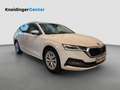Skoda Octavia 4x4 Style TDI DSG Weiß - thumbnail 6