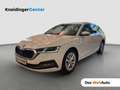 Skoda Octavia 4x4 Style TDI DSG Weiß - thumbnail 1