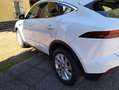 Jaguar E-Pace E-Pace 2.0d i4 HSE awd 150cv auto my19 Bianco - thumbnail 4