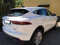 Jaguar E-Pace E-Pace 2.0d i4 HSE awd 150cv auto my19 Bianco - thumbnail 2