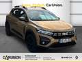 Dacia Sandero Stepway Extreme+ TCe 110 Navi Kam BT SHZ Beige - thumbnail 3