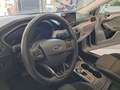 Ford Focus 1.5 EcoBlue 120 cv aut. 5p. Business Grigio - thumbnail 7