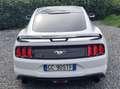Ford Mustang Mustang Convertible 2.3 ecoboost 290cv my19 Bianco - thumbnail 5