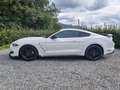 Ford Mustang Mustang Convertible 2.3 ecoboost 290cv my19 Bianco - thumbnail 2