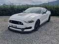 Ford Mustang Mustang Convertible 2.3 ecoboost 290cv my19 Bianco - thumbnail 1