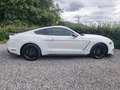 Ford Mustang Mustang Convertible 2.3 ecoboost 290cv my19 Bianco - thumbnail 6