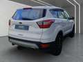 Ford Kuga 1.5 EcoBoost Trend GRA*Navi*SHZ*PDC Bianco - thumbnail 3