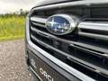 Subaru OUTBACK 2,5i Premium + AHK+ Winterräder AWD CVT Gris - thumbnail 22