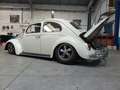 Volkswagen Beetle Beetle 1961 Blanco - thumbnail 3