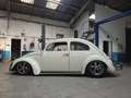 Volkswagen Beetle Beetle 1961 Blanco - thumbnail 9