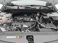 Kia Sportage SPORTAGE 1.6 T-GDI 160 48V AWD DCT GT-LINE MJ25 DR Weiß - thumbnail 16