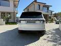 Rover Rover Range Rover 5.0 Sport Alb - thumbnail 5
