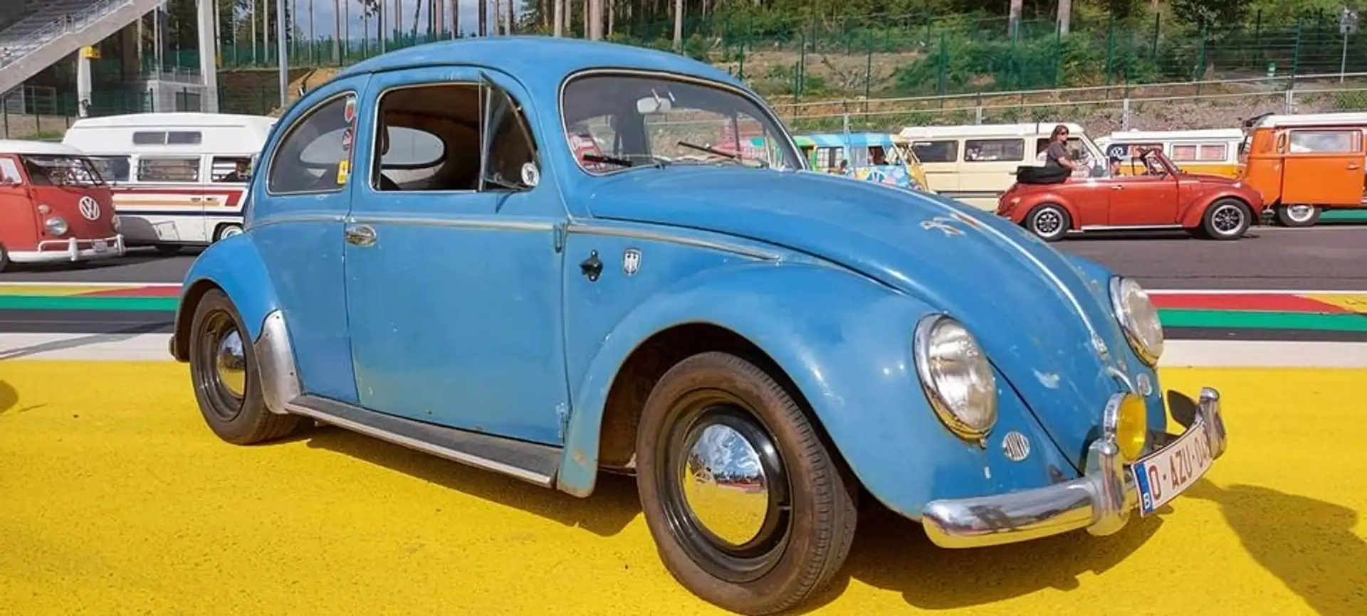 Volkswagen Coccinelle Cox Ovale Bleu - 1