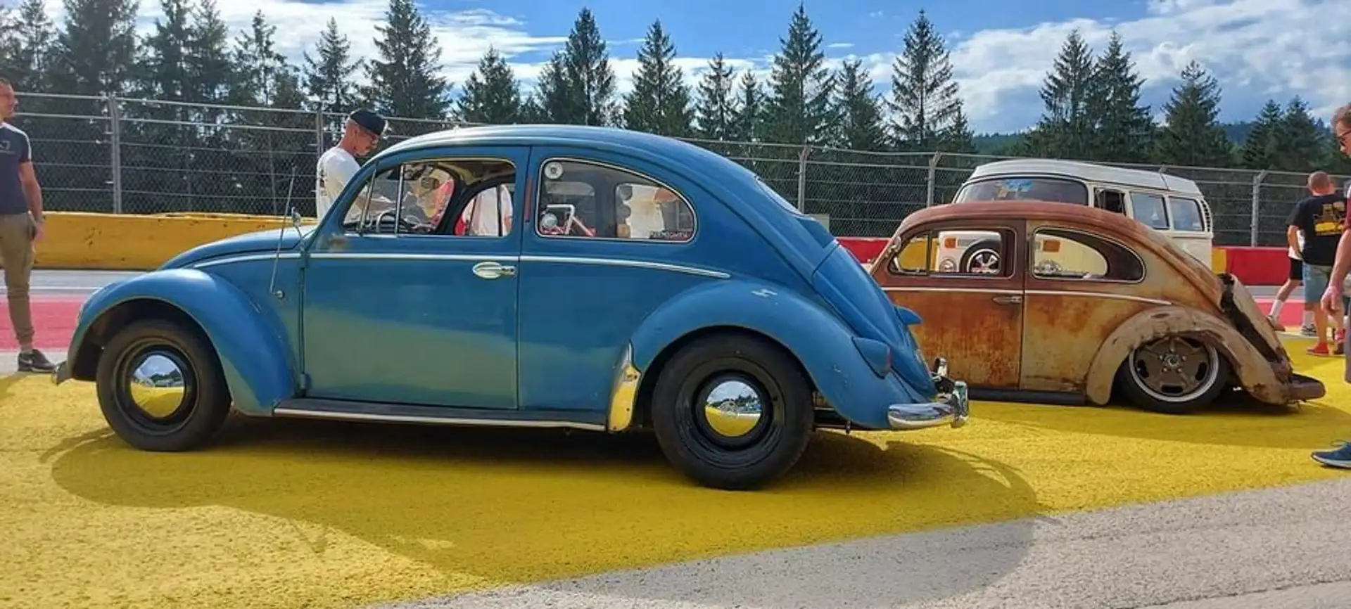 Volkswagen Coccinelle Cox Ovale Blau - 2