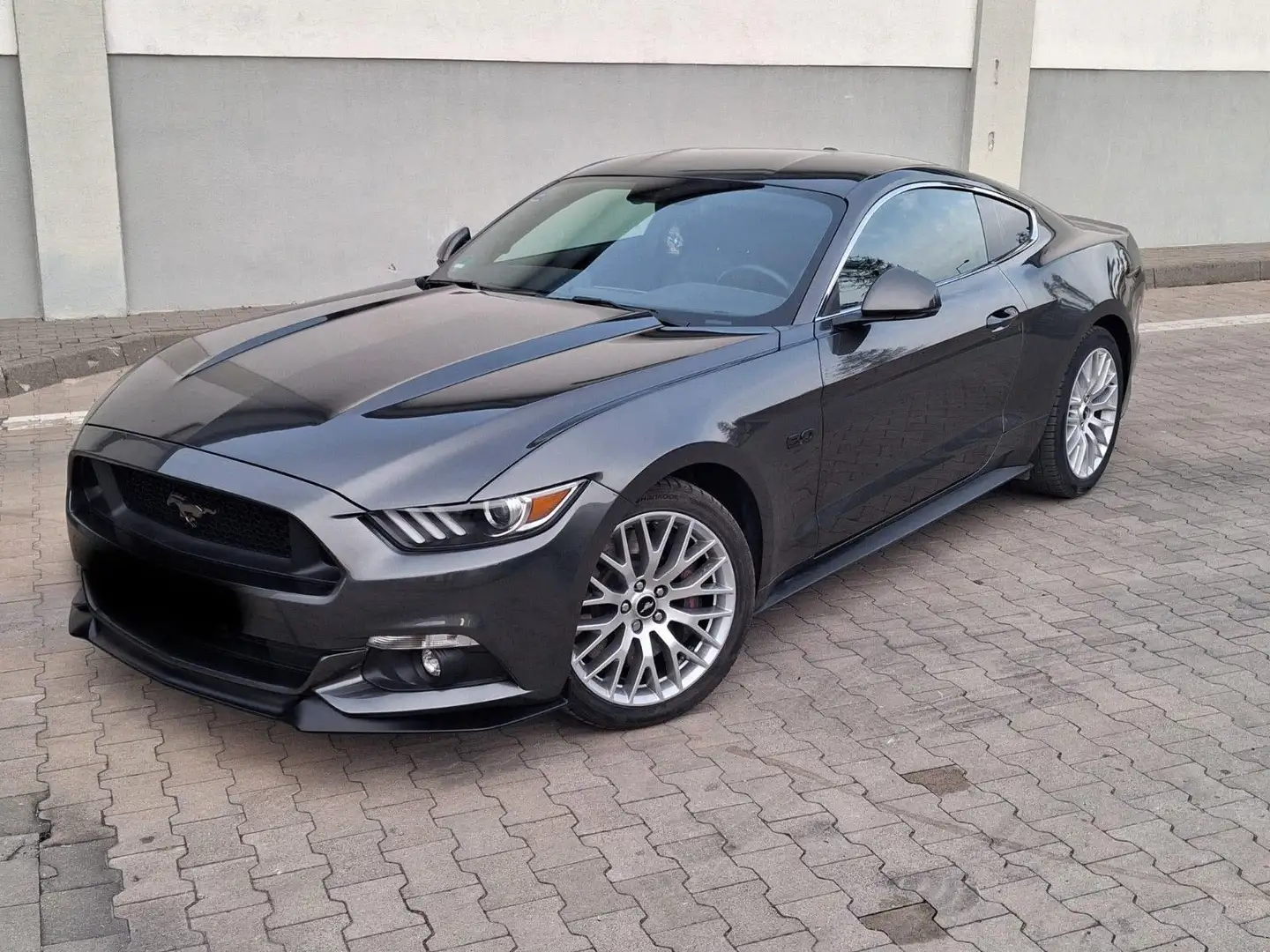 Ford Mustang GT 5.0 Ti-VCT Gris - 1