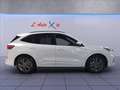 Ford Kuga 1.5 ecoboost ST-Line 2wd 150cv Blanco - thumbnail 6