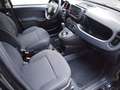 Fiat Panda Panda 1.0 Hybrid 70CV - 08/2023 Noir - thumbnail 8