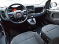 Fiat Panda Panda 1.0 Hybrid 70CV - 08/2023 Noir - thumbnail 5